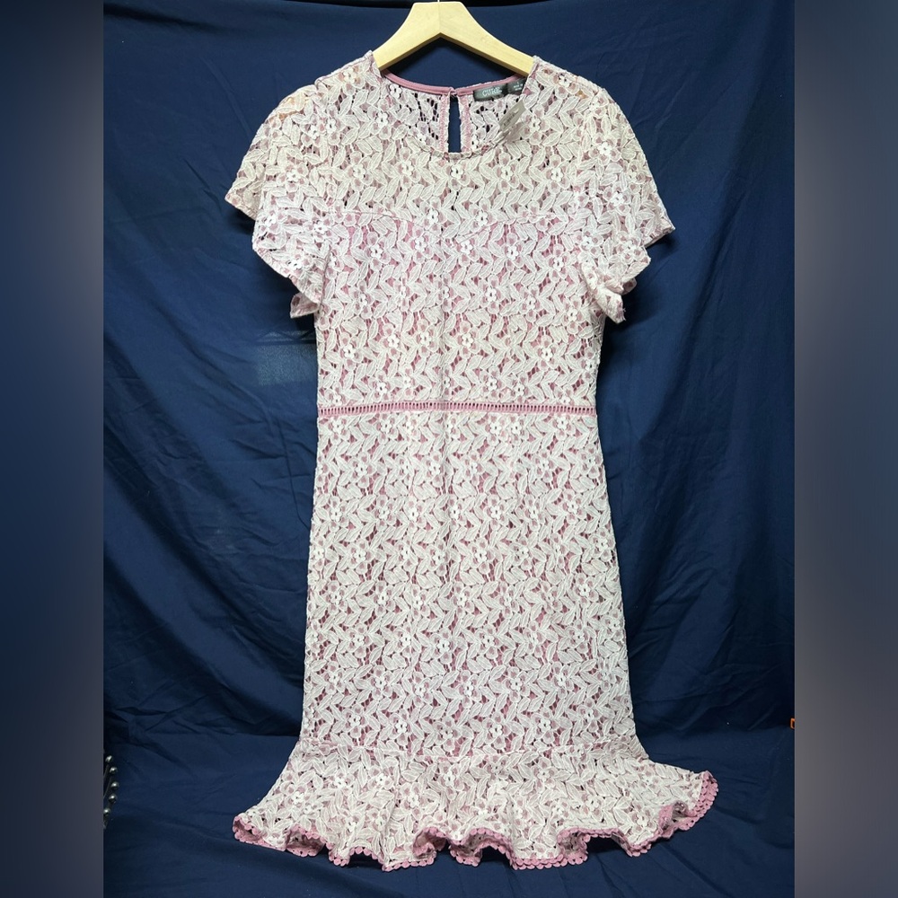 Gorgeous pink dress NWT